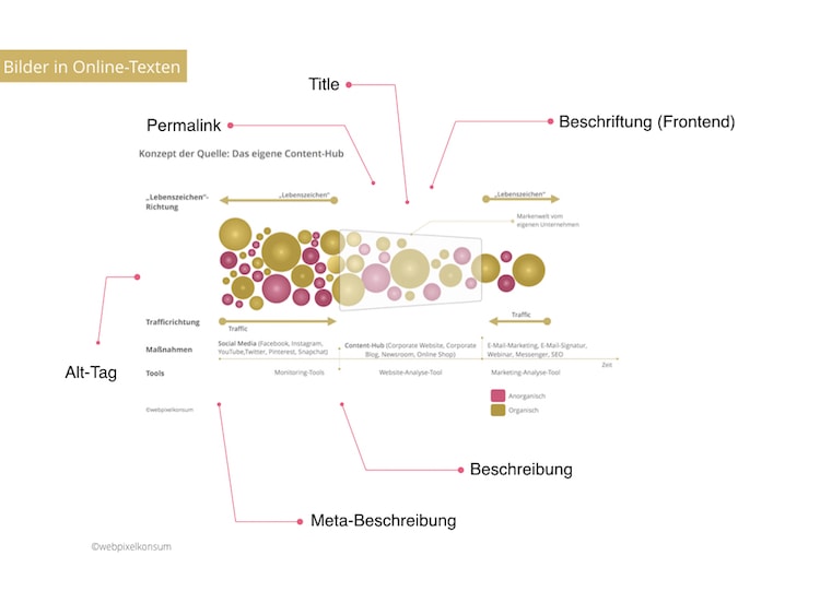 Infografik zeigt die Aufgaben rund um Bilder in Online-Texten für Deine SEO-Strategie - Blog SEO optimieren: Tipps und Tools